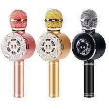 Wireless Karaoke Mic WS-669